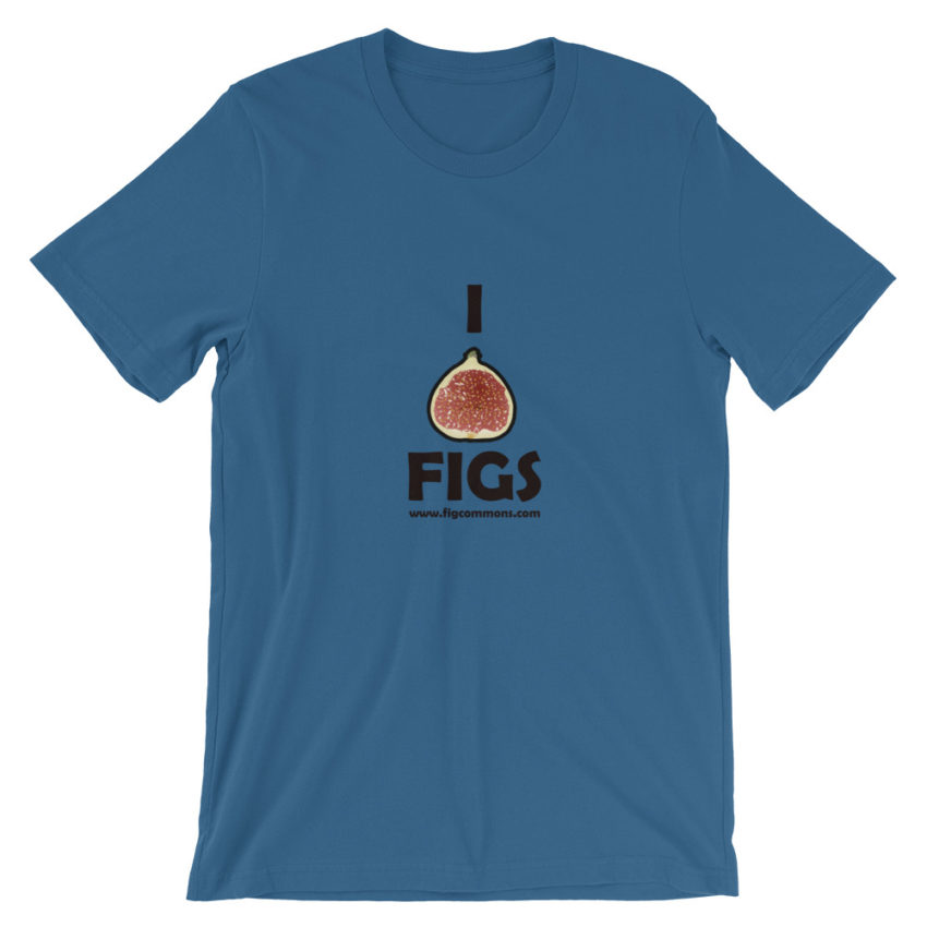 figs tee shirt